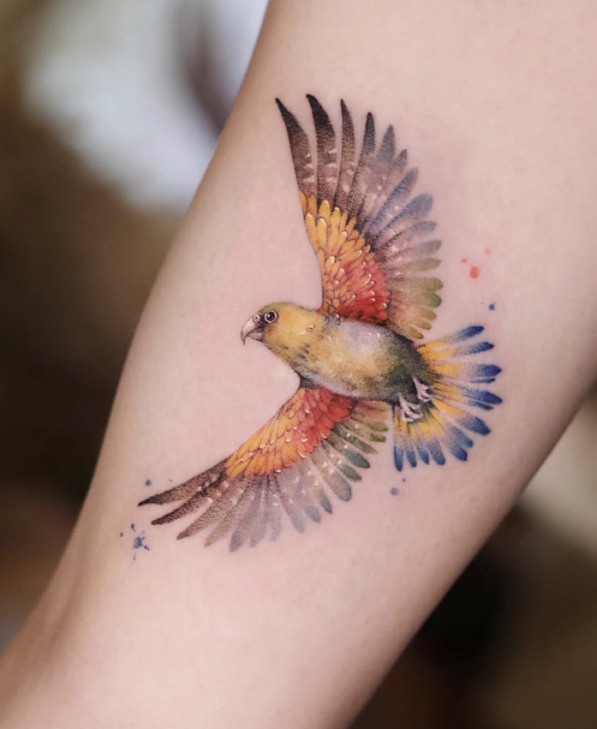 Selected tattoo work by Lily at Blank-Leaving Tattoo Studio in Auckland